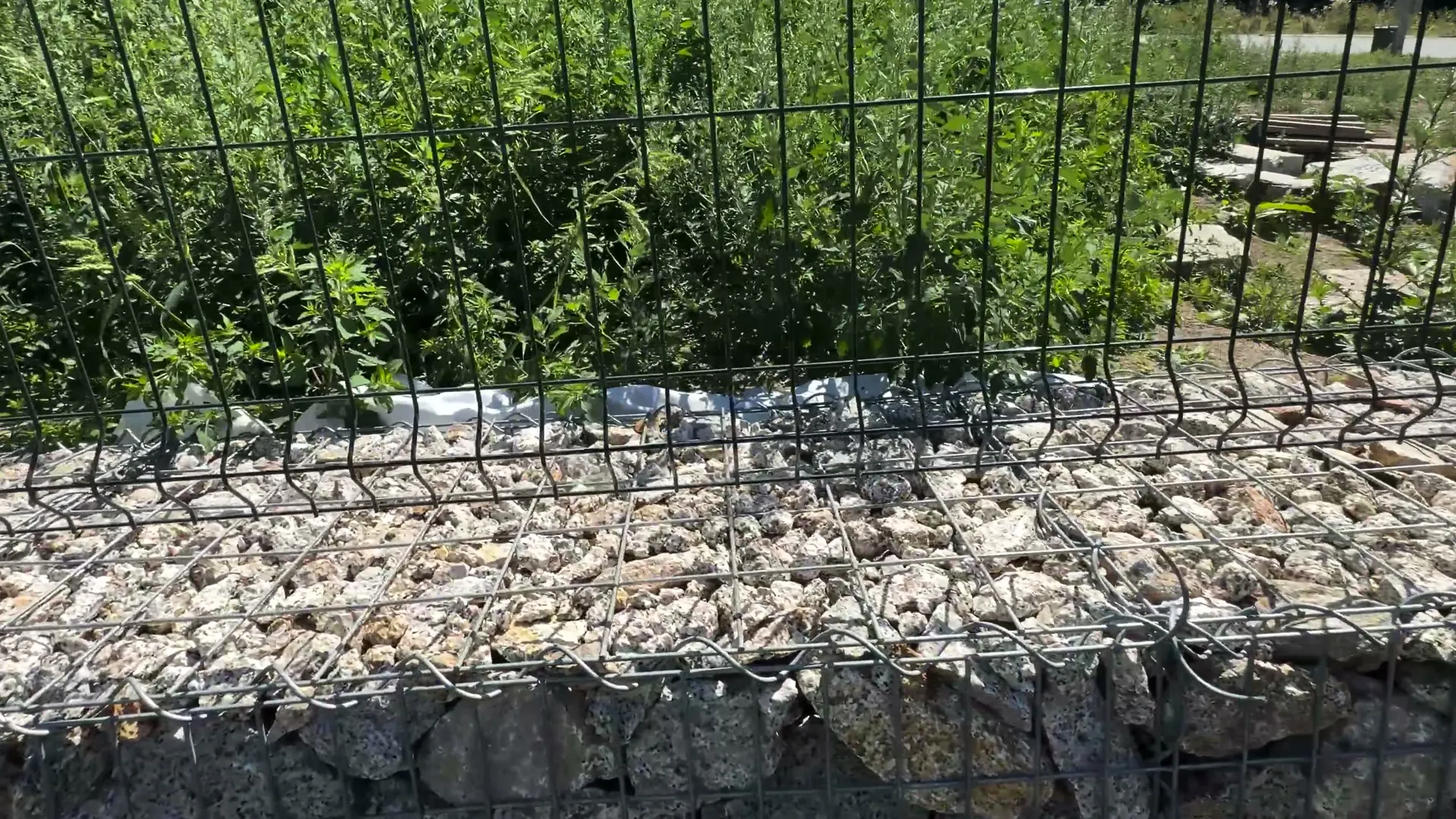 Spodní hrana panelu nad gabionem